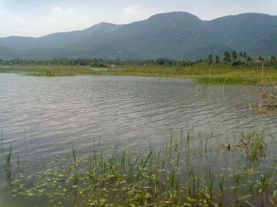 Valasaiyur lake 1